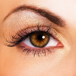 Latisse – Eyelid Enhancement Solution – San Ramon